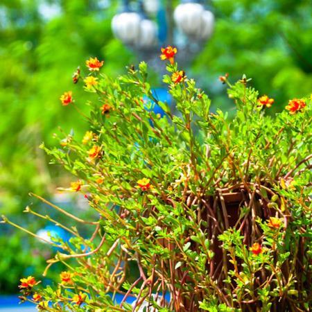Haian Xian Homestay Huxi エクステリア 写真